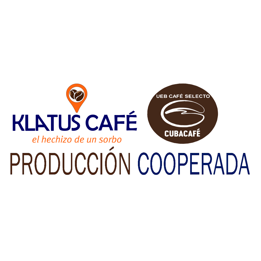 Odoo • Texto e imagen
